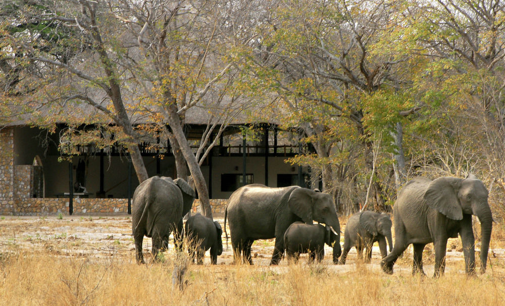 Gwango Heritage Resort Dete Exterior foto