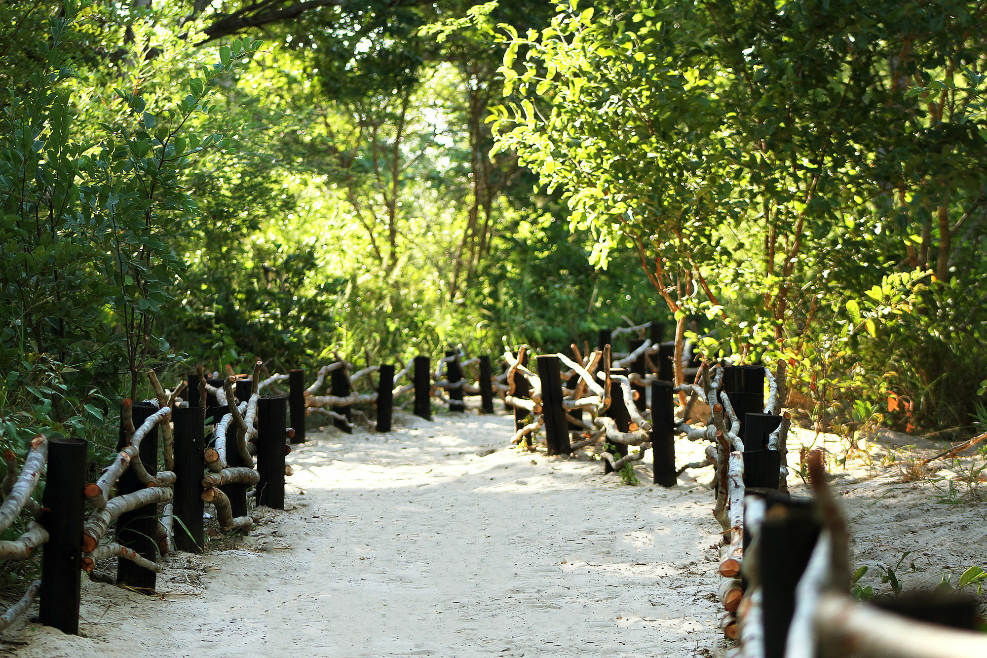 Gwango Heritage Resort Dete Exterior foto